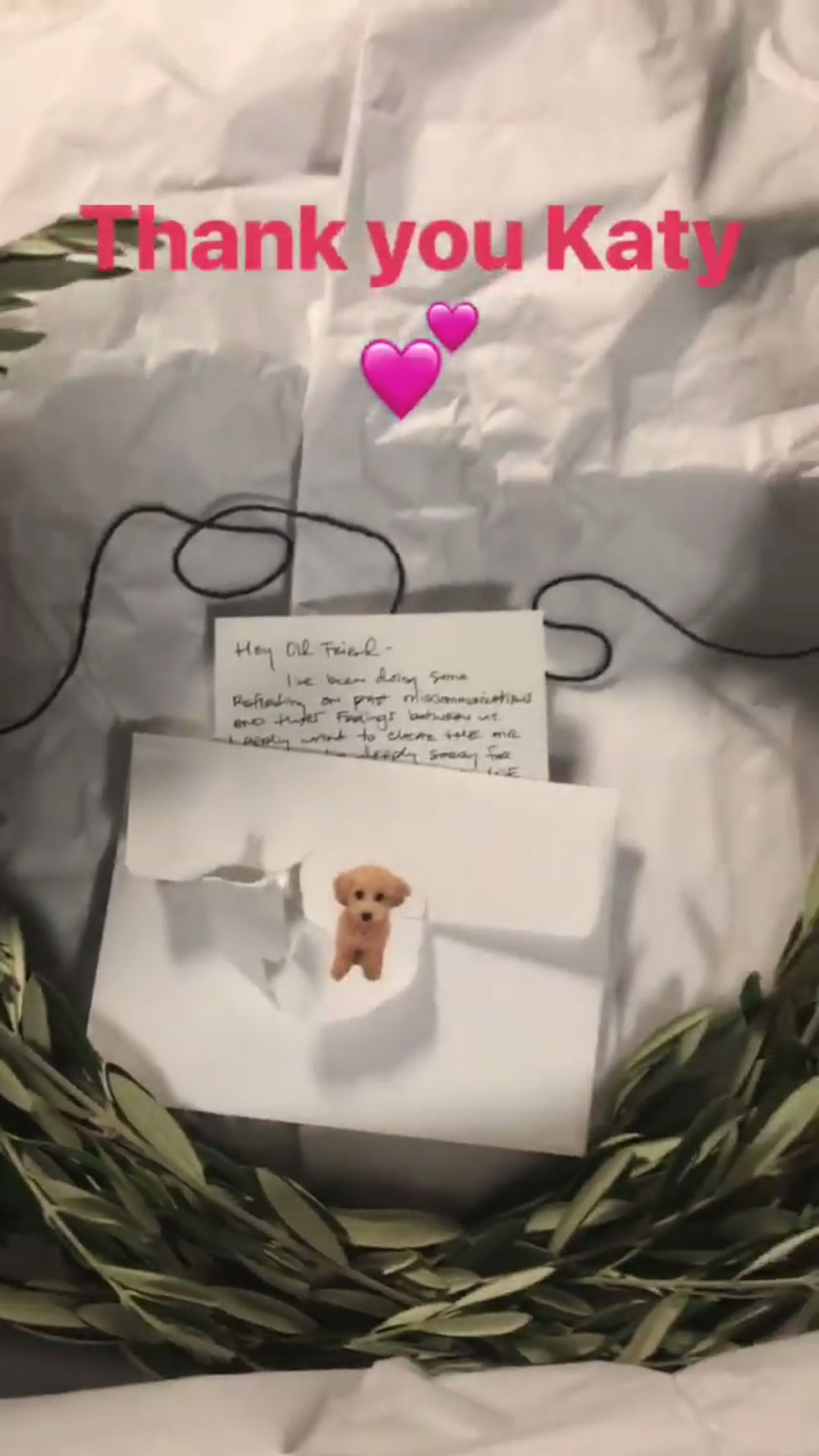 Katy Perry Sends Taylor Swift A Literal Olive Branch Before Tour